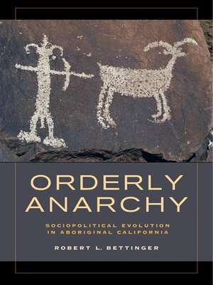 cover image of Orderly Anarchy